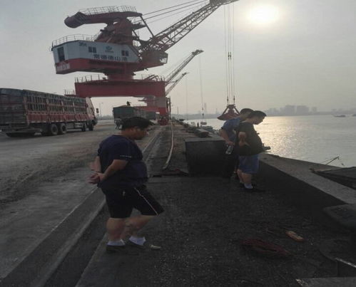 市交通運(yùn)輸局赴岳陽港、常德港考察學(xué)習(xí)碼頭建設(shè)與管理經(jīng)驗(yàn)