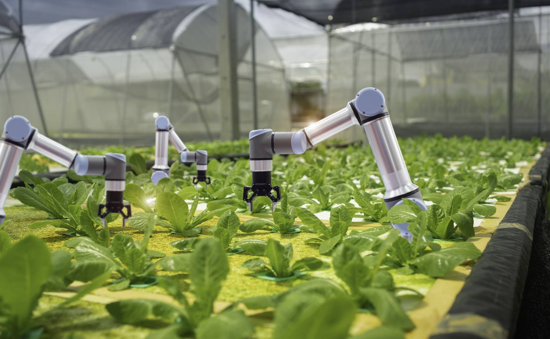 農(nóng)業(yè)農(nóng)村部:對(duì)農(nóng)業(yè)科創(chuàng)企業(yè)支持貸款規(guī)模提高至單筆不超1000萬(wàn)元_服務(wù)