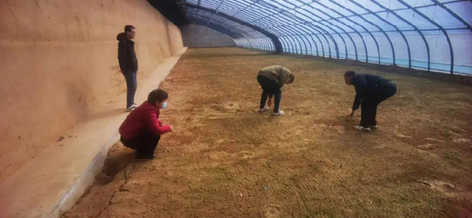 蘭州市城關(guān)區(qū):農(nóng)技服務(wù)在田間 春耕備耕正當(dāng)時(shí)