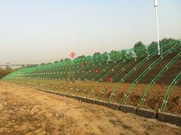 鋼管鍍塑大棚溫室建造 設(shè)計(jì)價(jià)格 鋼管鍍塑大棚溫室建造 設(shè)計(jì)型號規(guī)格