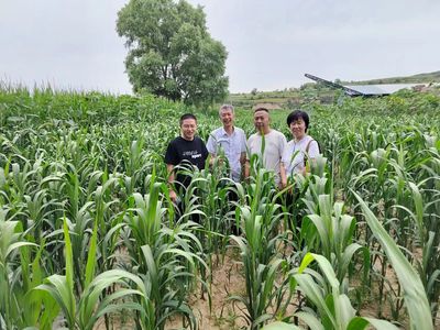 經作所三區特派團在渾源縣召開對接會并開展技術服務