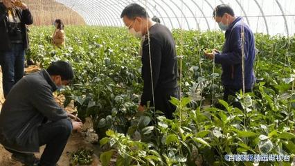 靖遠(yuǎn):&ldquo;三區(qū)&rdquo;人才科技服務(wù)助力打贏脫貧攻堅(jiān)戰(zhàn)