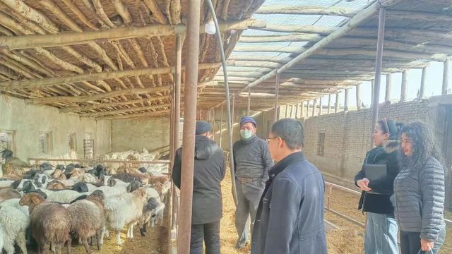 市林草局:提高農業科技服務水平 加快科技成果轉化