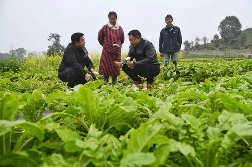 重慶農科院 2023年科技成果發布會 見證農業科技 重慶制造 發展成就