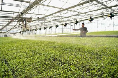 以服務之長,補農(nóng)業(yè)之短!