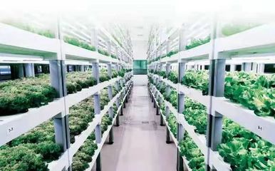 創(chuàng)新驅(qū)動(dòng)!國(guó)家電投科技創(chuàng)新成果落地