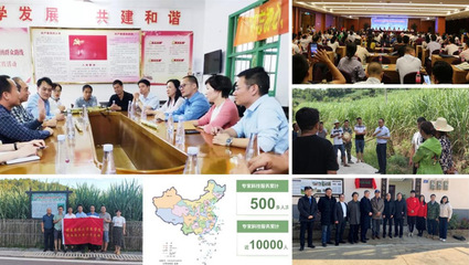 黨建巡禮&middot;樣板支部 | 黨建引領(lǐng)聚合力,守護(hù)中國(guó)&ldquo;糖罐子&rdquo;