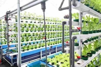 財政助力農村綜合改革推動&ldquo;菜鄉&rdquo;變新樣