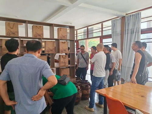 德宏州茶技站開展茶葉科技培訓，助力農(nóng)業(yè)科技服務